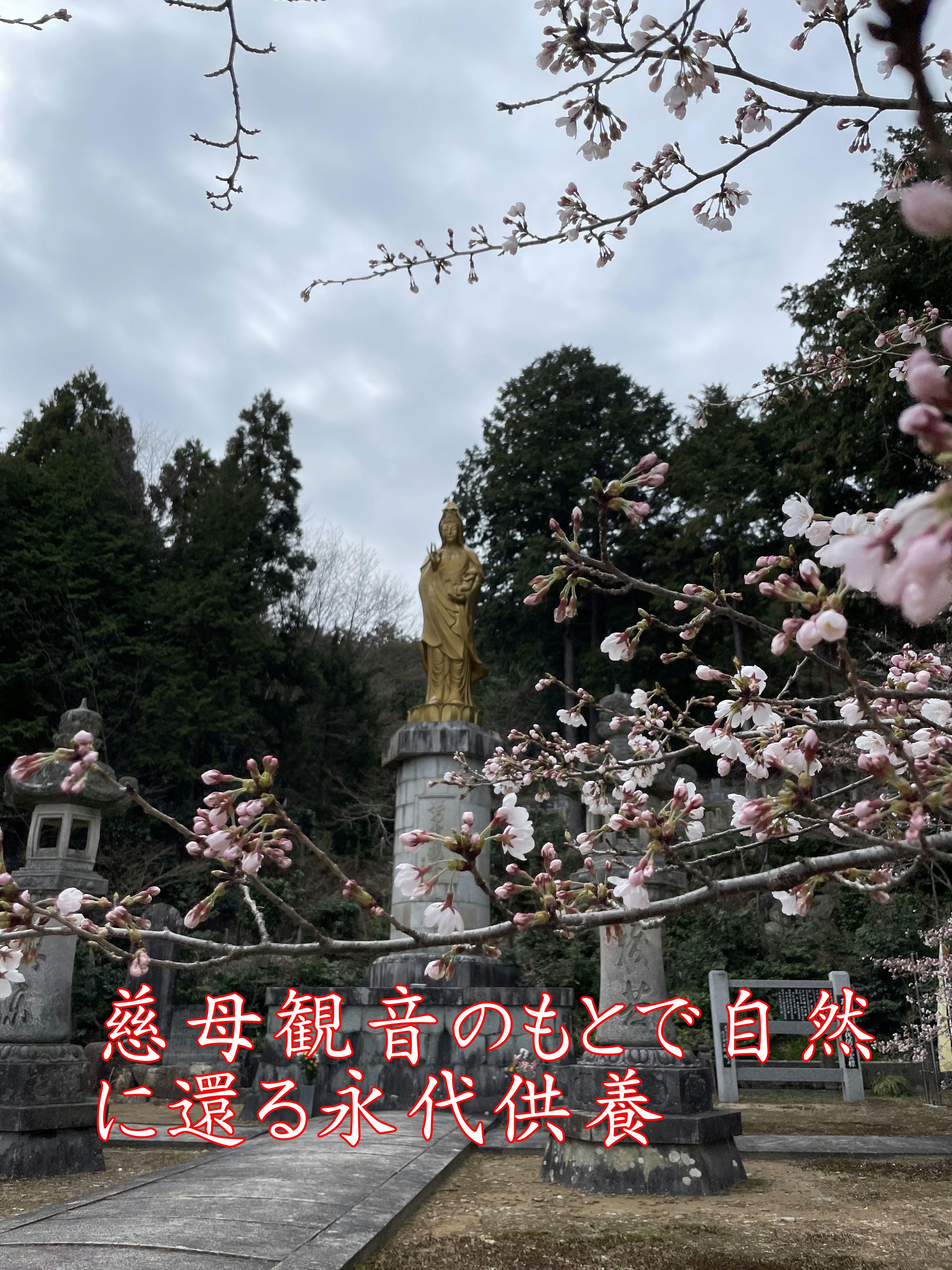 夕食イメージ